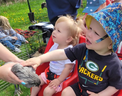 children petting a chicken