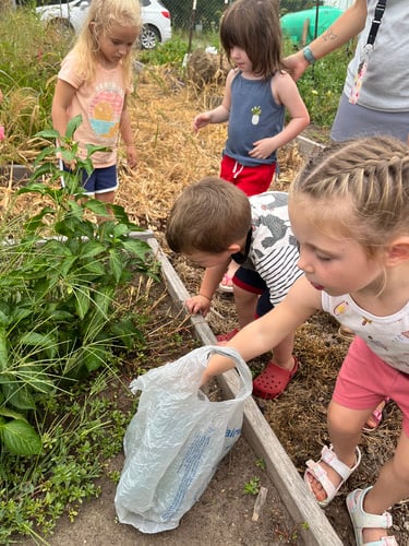 children working in the school garden