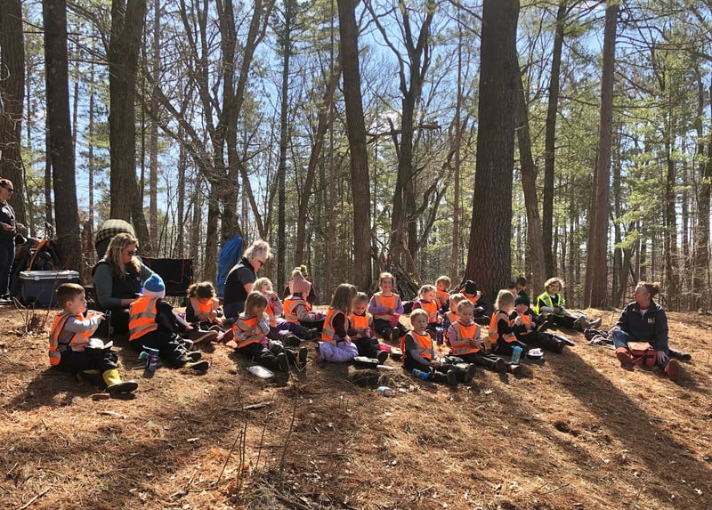 4K students in the school forest