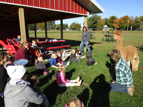 children sitting and looking at an alpaca